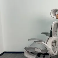 黑白调P2pro+实测 实测黑白调p2pro+，分析适合体型及点评椅子设计#黑白调 
#人体工学椅 #人体工学椅测评 #办公椅 #电脑椅