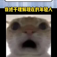 养猫看我的!!!#科学养宠攻略 #萌宠出道计划 #养宠进阶指南 #新手养猫 #萌宠好物#真实分享生活计划