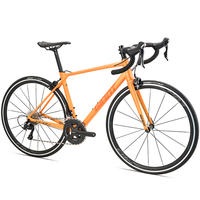 捷安特TCR进化史@福建捷安特