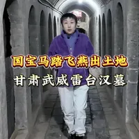 走进雷台汉墓,探寻两千年前的将军大墓 在武威雷台之下,藏着一座两千年前的汉代将军大墓。它以规模宏大和文物丰富闻名,是汉墓考古的重要发现。而那件象征中国速度的国宝——马踏飞燕,便是从这里的墓道深处出土。今天,我带你实地走进这座地下世界,看看国宝诞生的地方。#流量扶持计划 #河西走廊 #如意甘肃行#甘肃