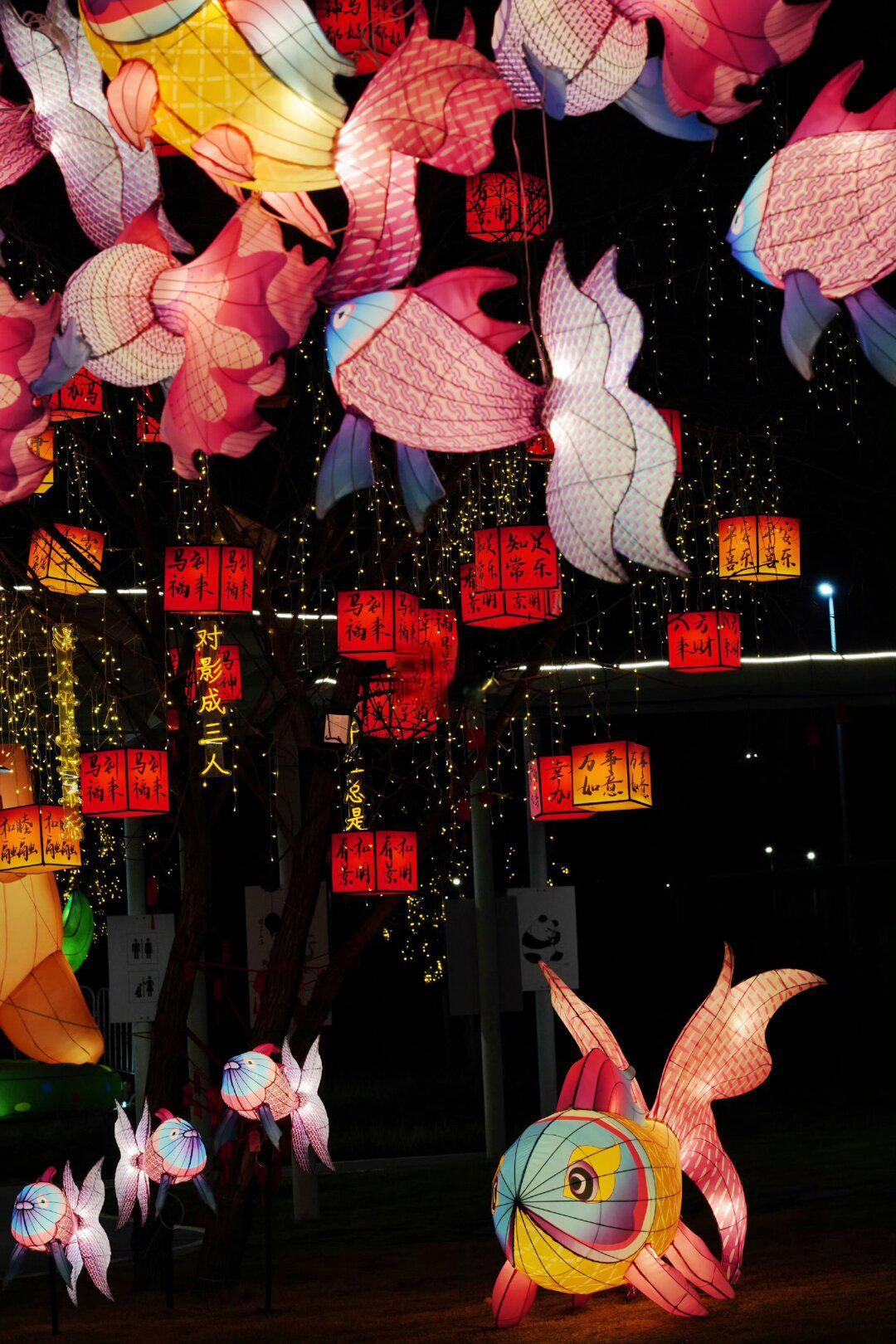 🏮虎丘灯会|我终于走进了流动的年画里了