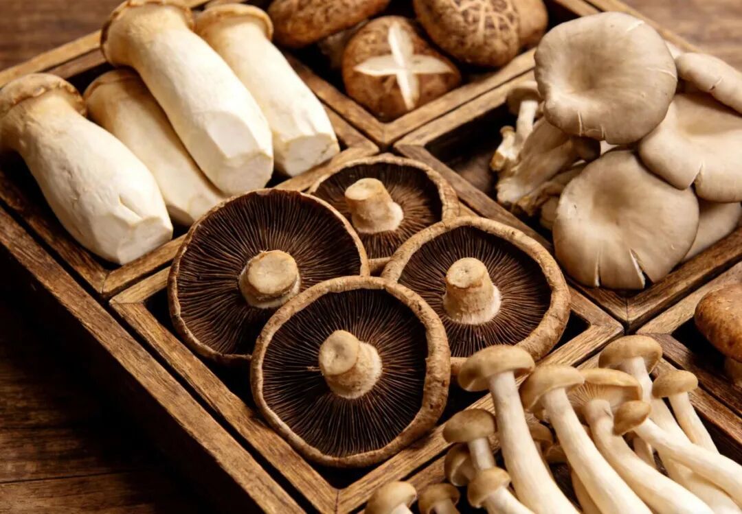 【健康科普】科学预防食物中毒,守护舌尖上的安全