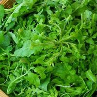 吃荠菜需要带根吃吗?你怎么吃的?