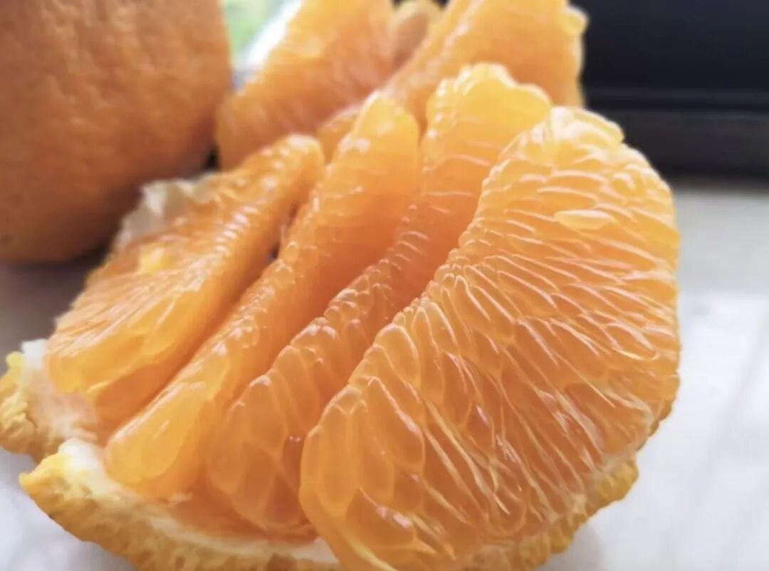 “报恩果”,一枚善良的蒲江耙耙柑