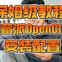 【原创】树莓派安装OpenClaw并实现全球访问零基础保姆级教程（含详细配置）