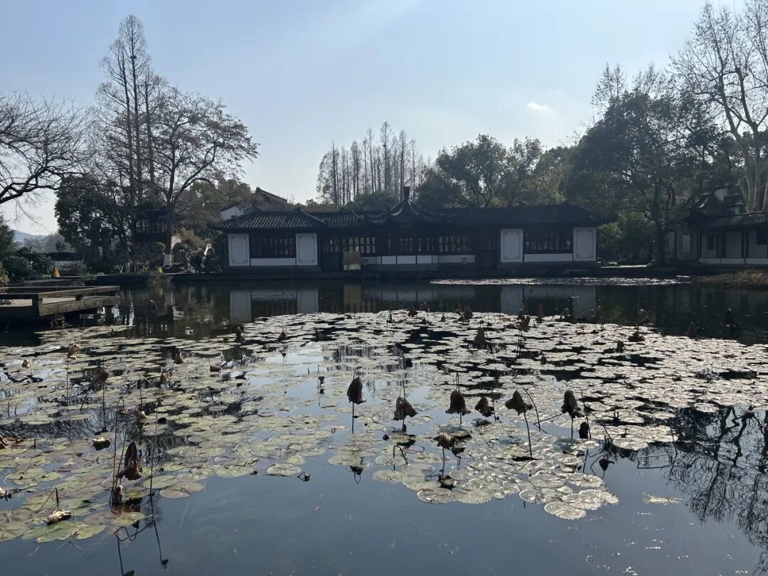 浙派园林最富古趣者——郭庄