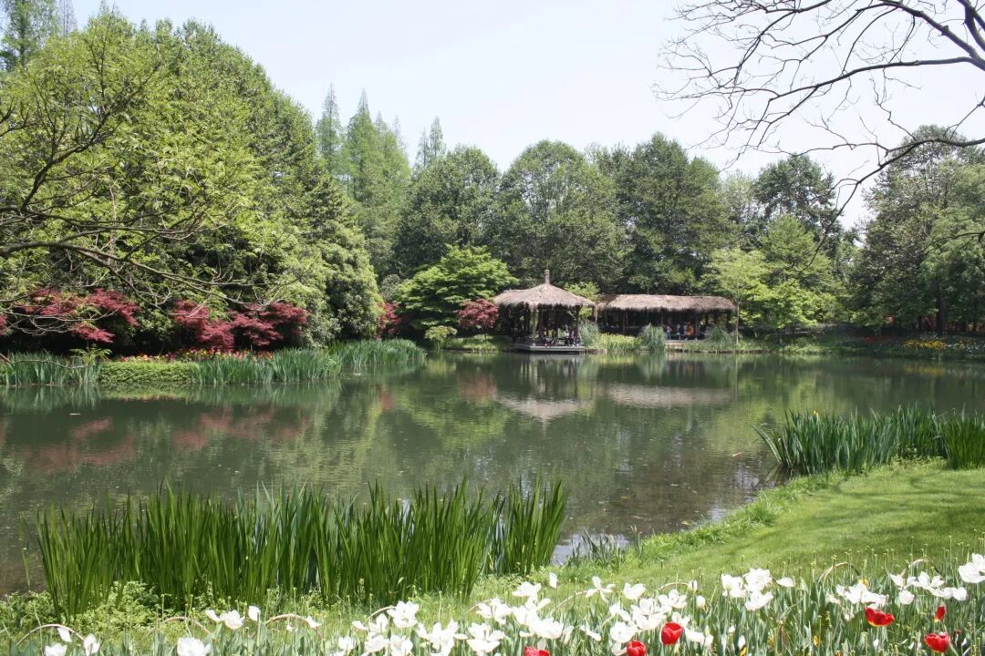 走走看看——杭州太子湾公园、郭庄、杭州花圃的春天