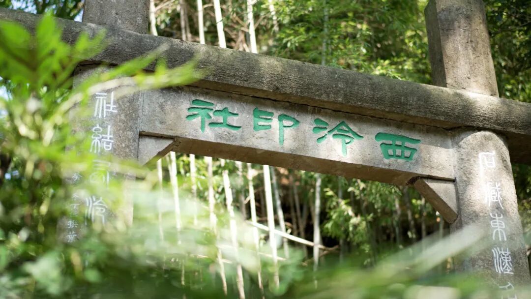 逛园林“去班味”!邂逅春天好时光
