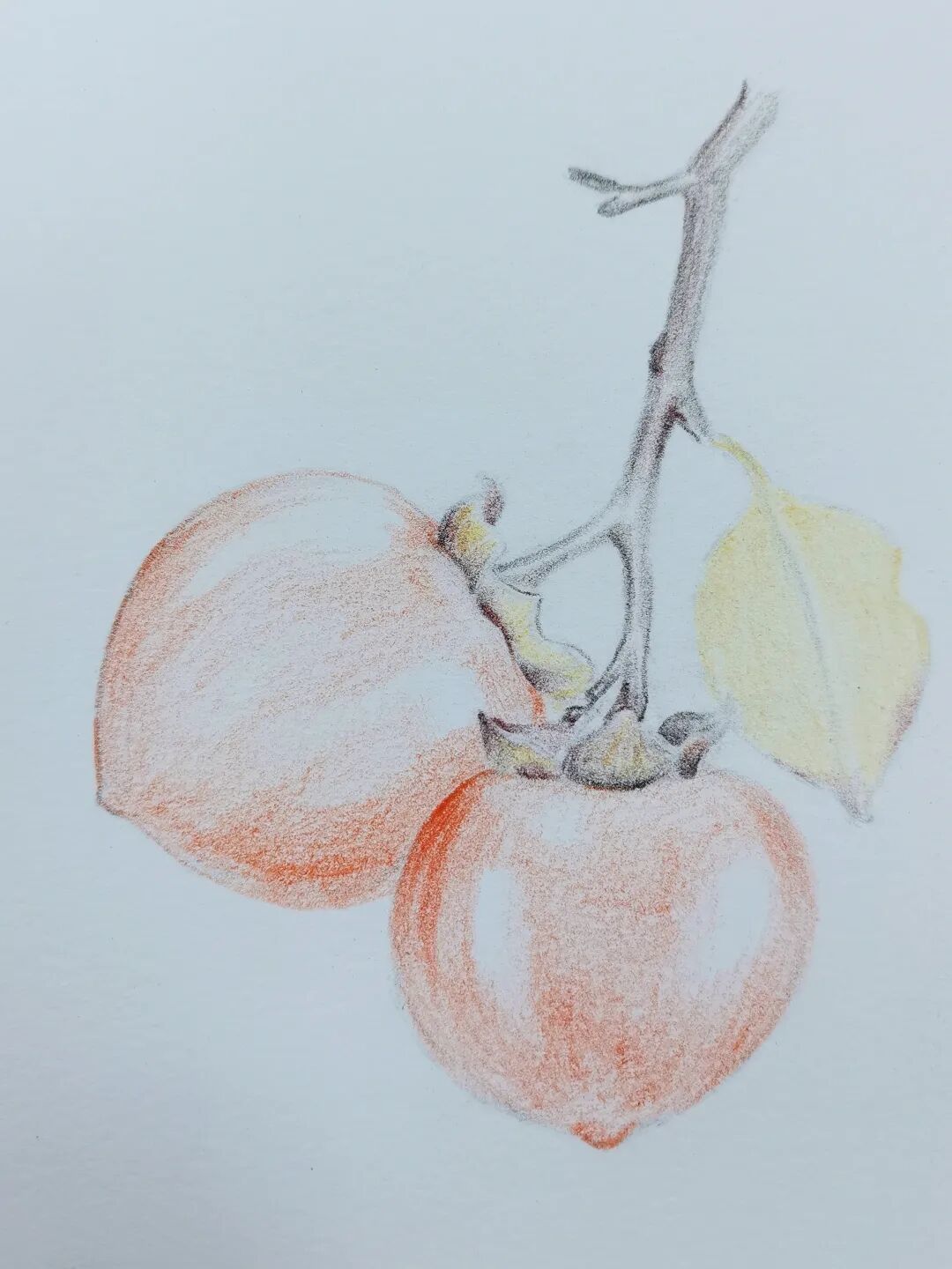 水果系列 05--开盲盒,你说像啥就是啥