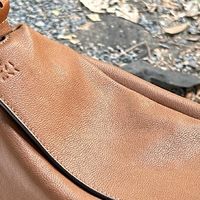 从运动小白到健身达人：我的五年蜕变