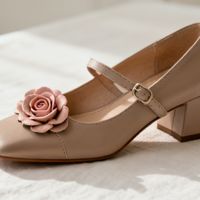 达芙妮2025春夏玛丽珍鞋热销：社交爆款登顶电商榜单，新中式设计引爆年轻消费市场