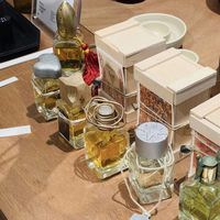 梧桐影木是香根草天花板还是墨恋平替？全网观点大PK