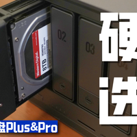 【真机实测】西部数据红盘Plus vs西部数据红盘Pro区别在哪？