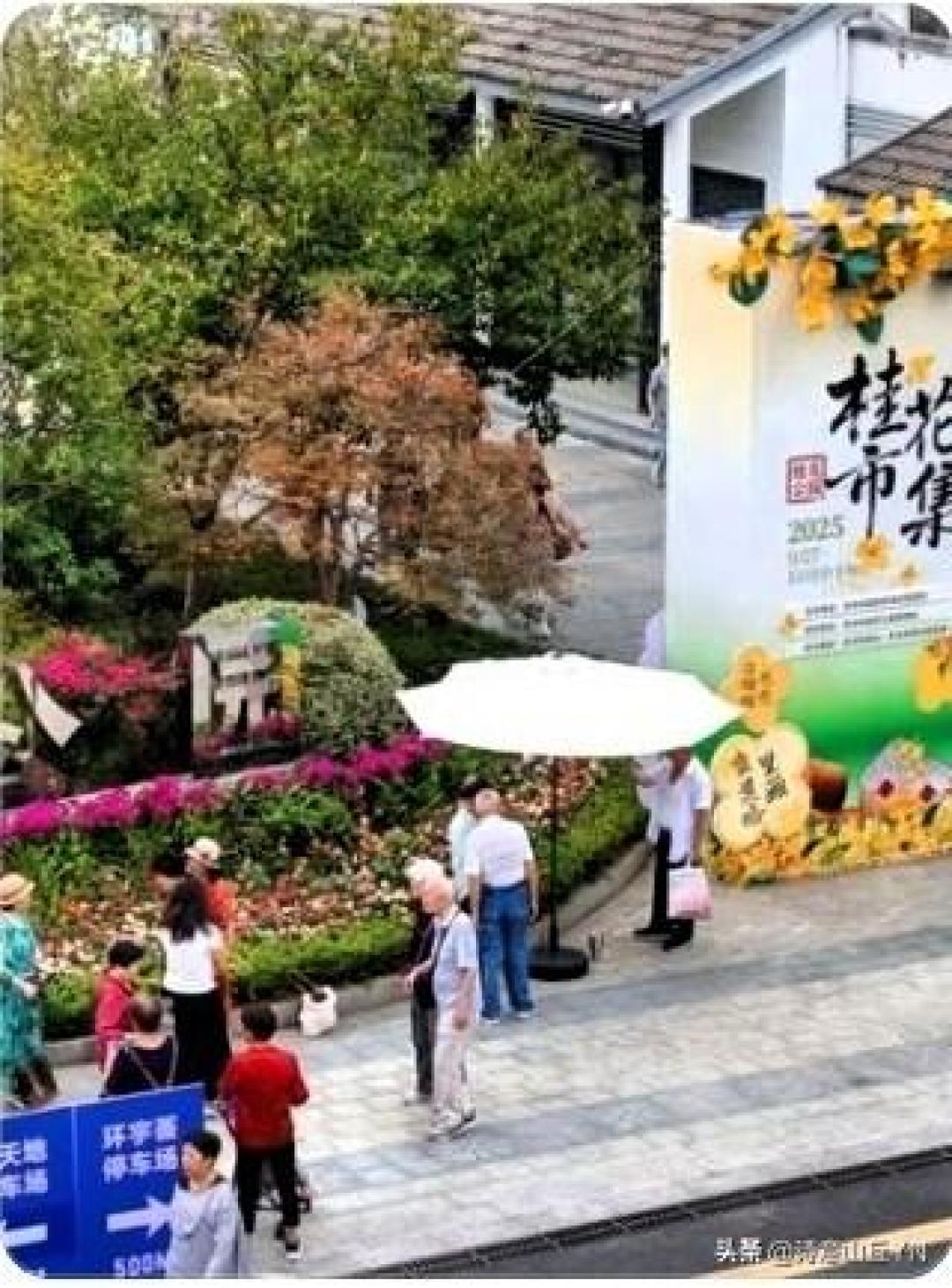 什么原因苏州选择桂花作为市花