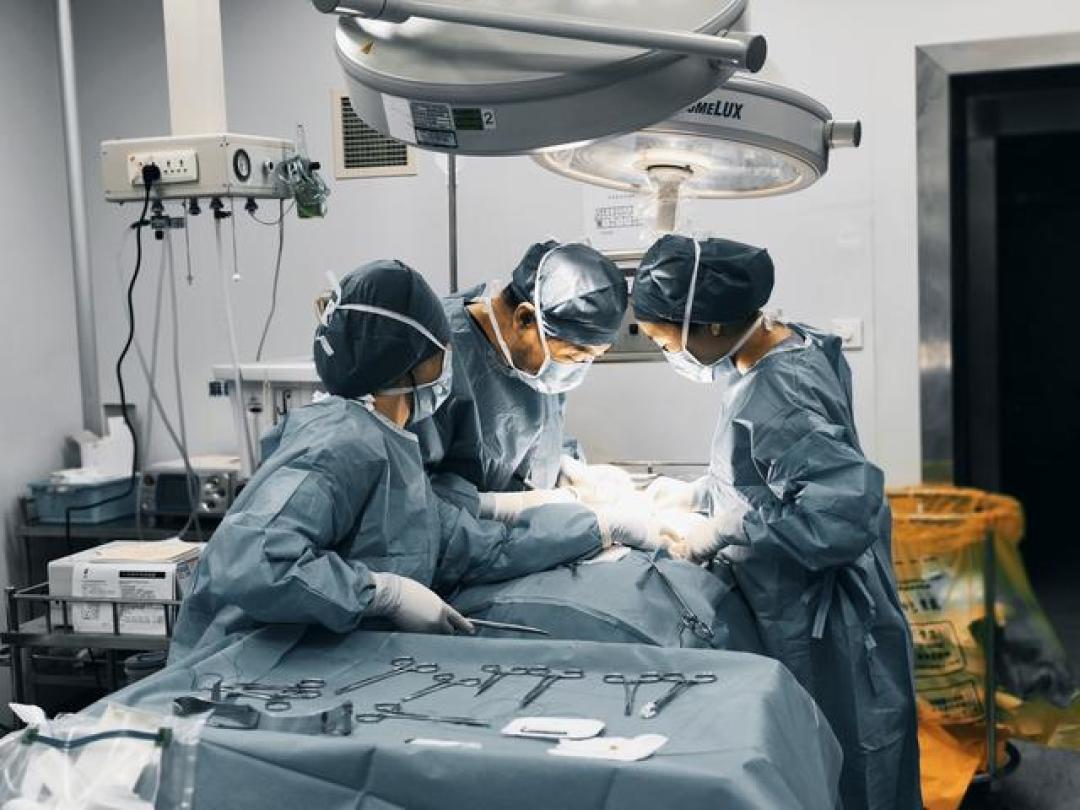 先别慌!体检报告上的“胰腺问题”,瑞金费健帮你一次性说清楚