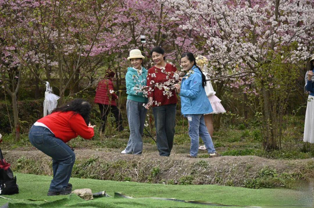 【花Young贵阳】贵阳这个村花开似海引客来!