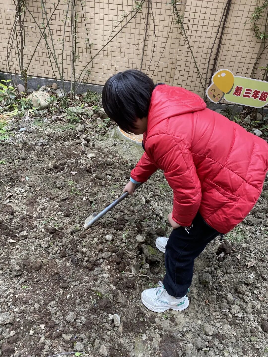 【蝶变故事】家校同行,化蝶飞舞