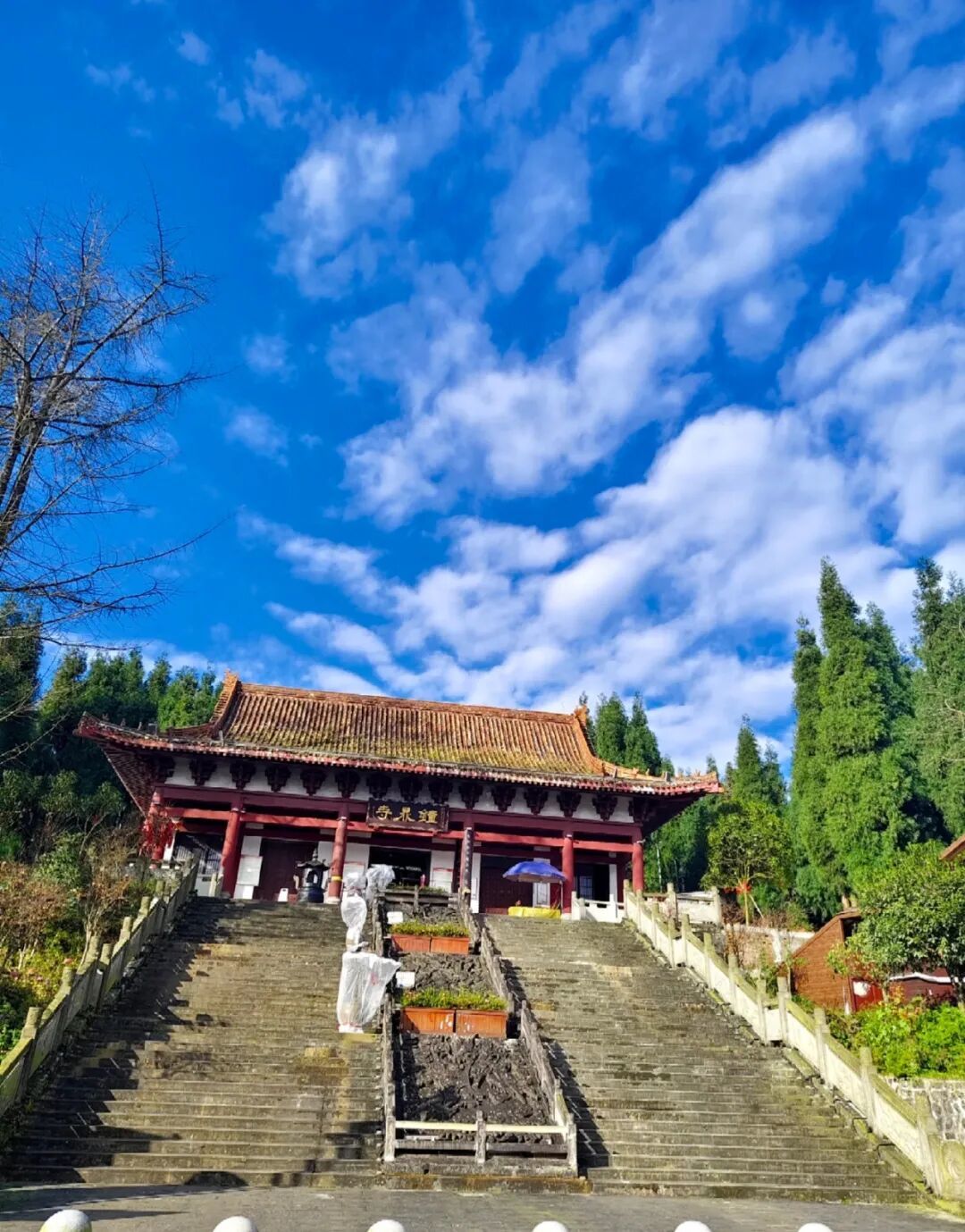 春日唤醒计划|逃离城市线,徒步蓥华山