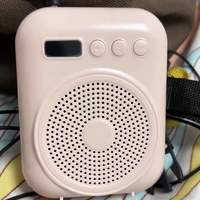 2026扩音器品牌推荐榜：不同价位与使用场景怎么选