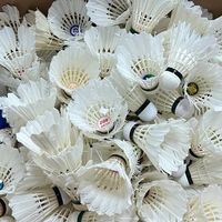 羽毛球圈大反转！威克多、亚狮龙等品牌集体降价，高价囤球的人哭晕在球场