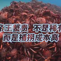 看看昂贵的帝王蟹是如何从白令海打捞上来的!