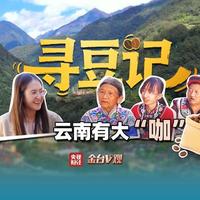 寻豆师追香而来、老树新生，云南咖啡如何让世界爱上“中国味”？