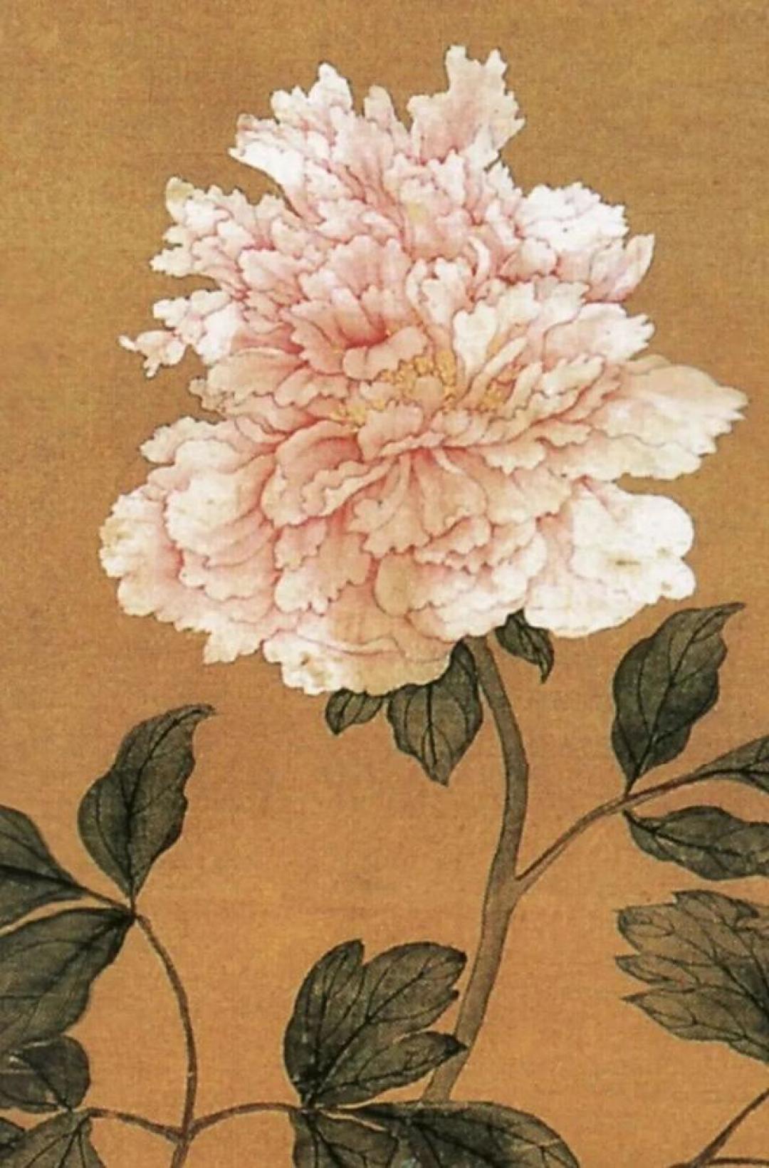 南京博物院藏画·马逸《国色天香图》清韵赏读