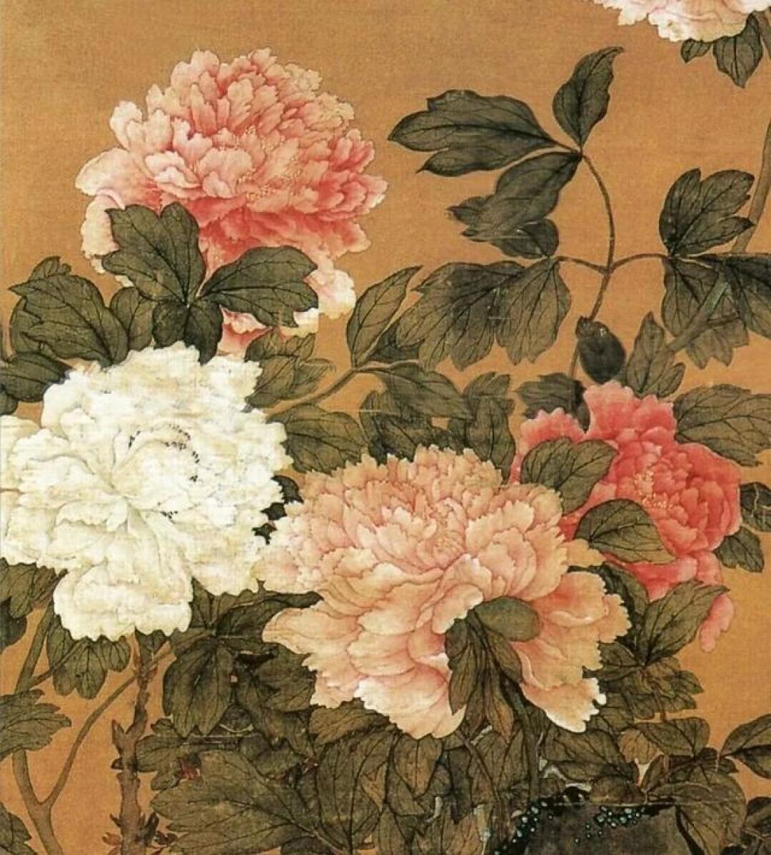 南京博物院藏画·马逸《国色天香图》清韵赏读