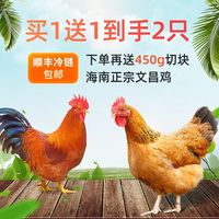 从风靡东南亚到“鲜”达全球：海南文昌鸡的新春回响