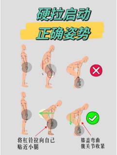 连续14天力量训练复盘：肌肉量上涨0.8kg，体态肉眼改善