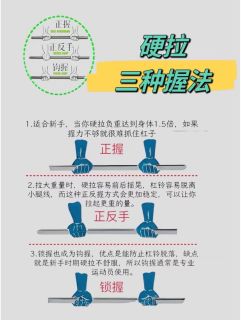 连续14天力量训练复盘：肌肉量上涨0.8kg，体态肉眼改善