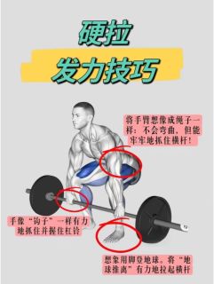 连续14天力量训练复盘：肌肉量上涨0.8kg，体态肉眼改善