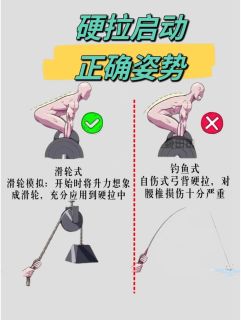 连续14天力量训练复盘：肌肉量上涨0.8kg，体态肉眼改善