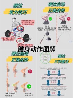 连续14天力量训练复盘：肌肉量上涨0.8kg，体态肉眼改善