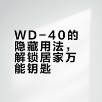WD-40 不只是除锈剂！