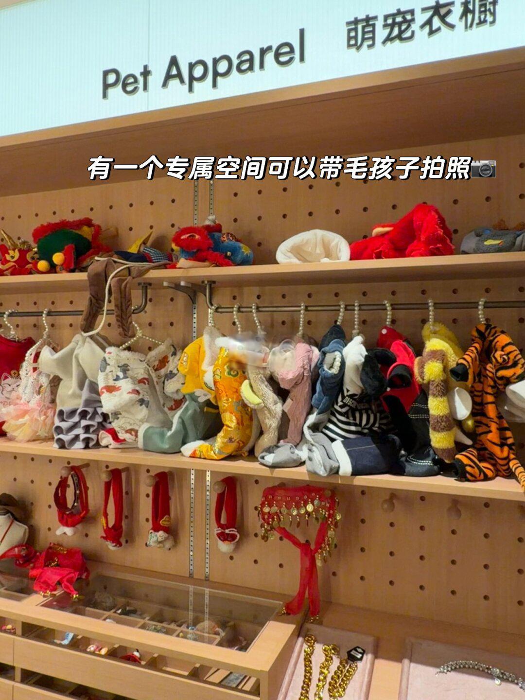 探访苏州宠物友好海底捞,带毛孩子吃饭全攻略