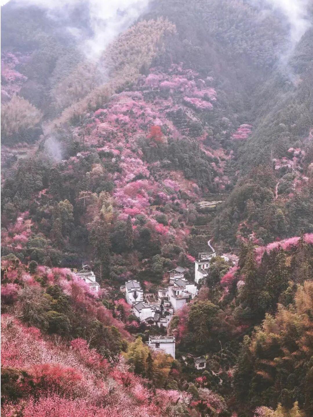最适合去的13个大美山河，藏着第一波春色！