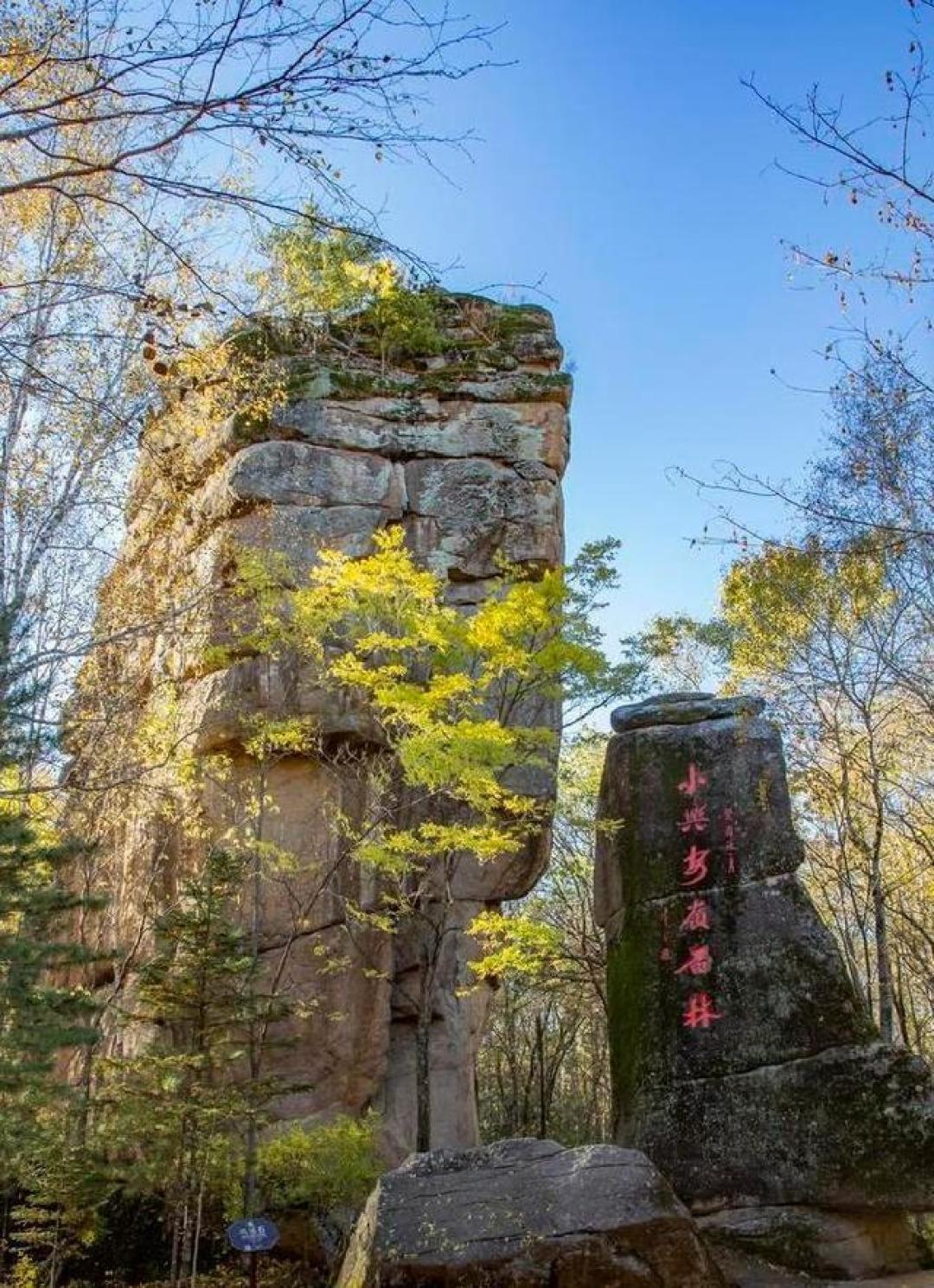 世界只有中国黑龙江省伊春市才有的全球“独一无二的8大奇景”