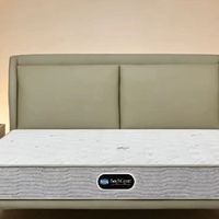 2026年独立袋装弹簧床垫哪家好:五家优选品牌对比