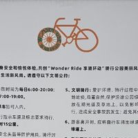 别让犹豫困住脚步，动起来才是生活最好的模样