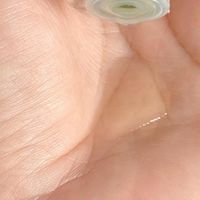 油敏皮的温和护肤流程