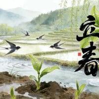 立春养身，跟着《黄帝内经》就对了