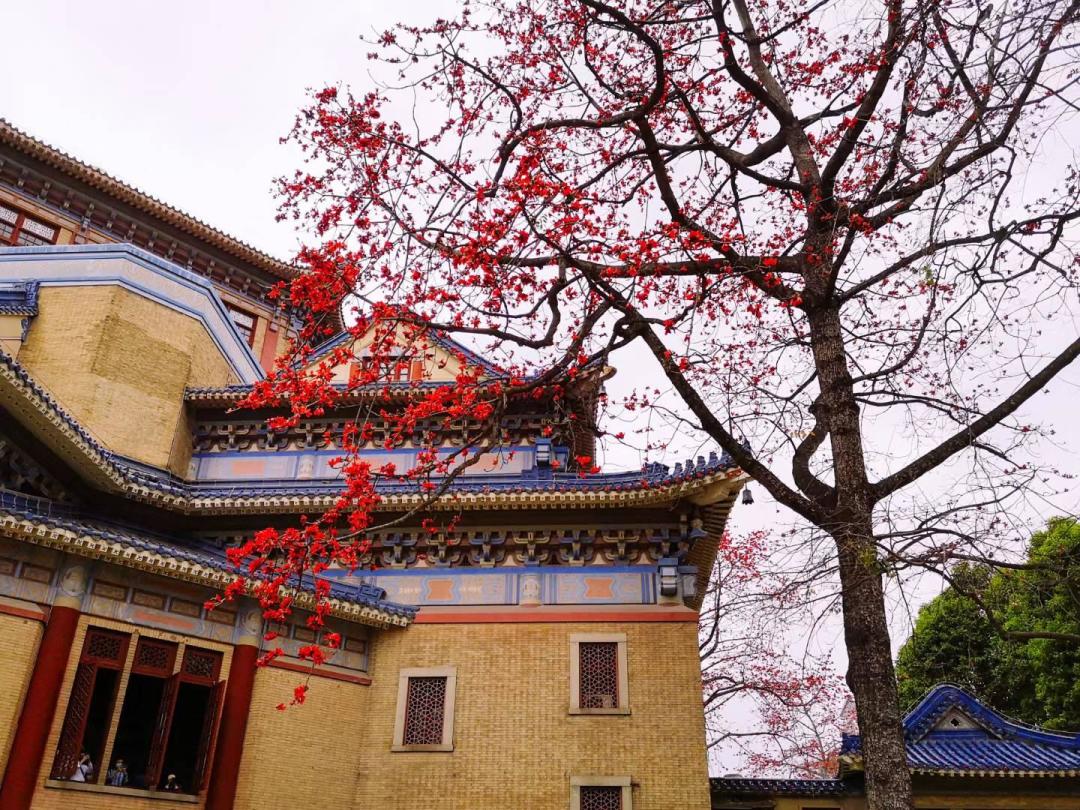 广州市的中山纪念堂,有什么旅游攻略?