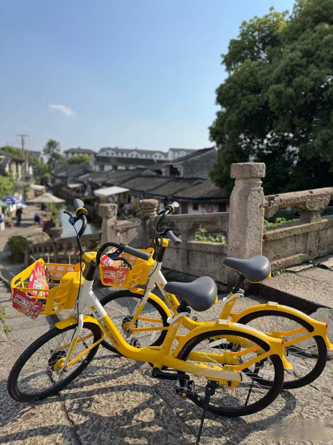 第一次去浙江旅行,有哪些城市是必打卡的,推荐如何安排行程?