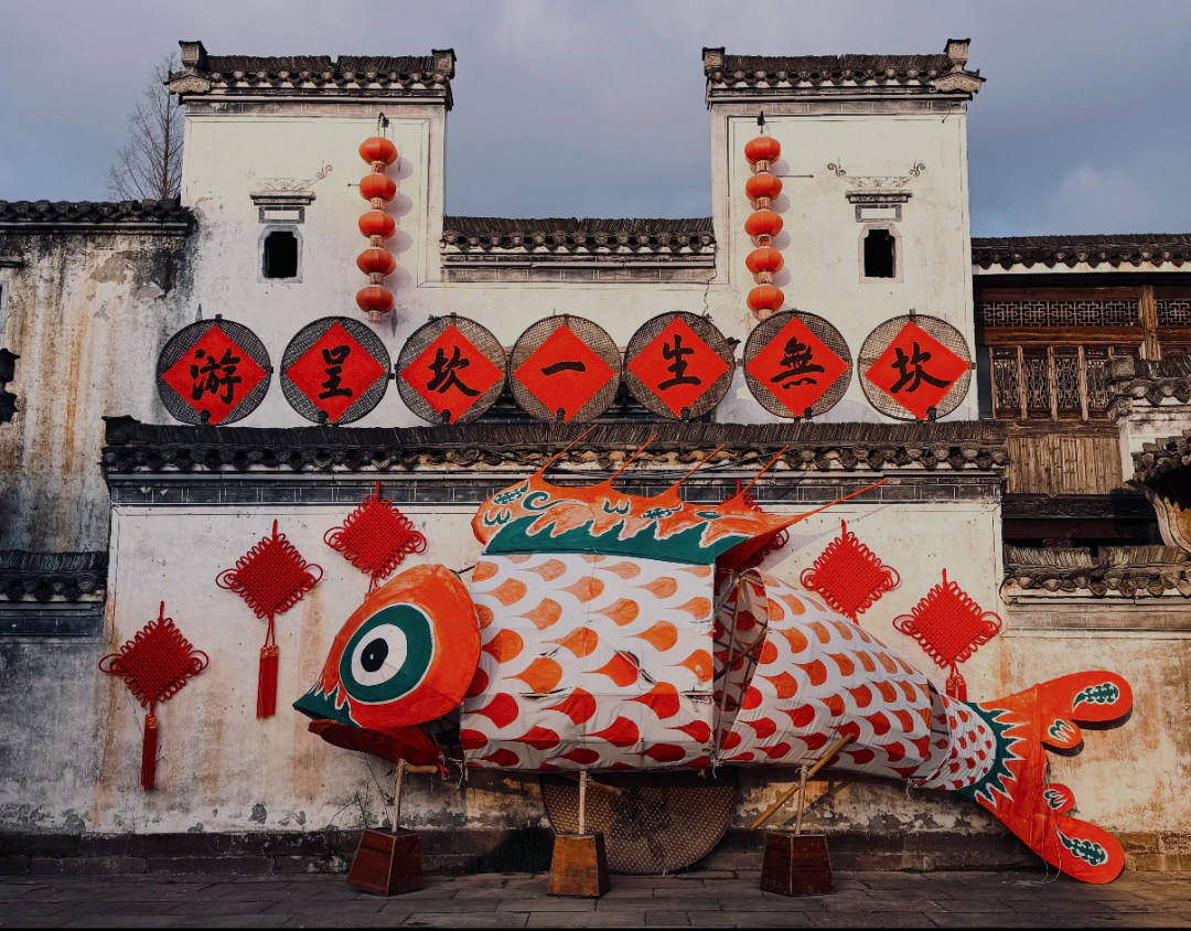 【徽州】鱼灯🎏看瞻淇还是呈坎❓本人实测❗