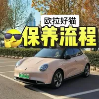 欧拉电车保养全攻略：省钱预约与透明流程