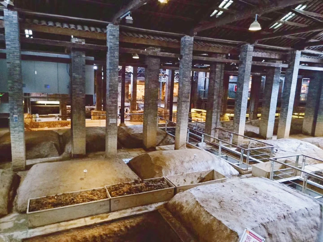 春熙路附近~在600年古酒窖里酿白酒‼️