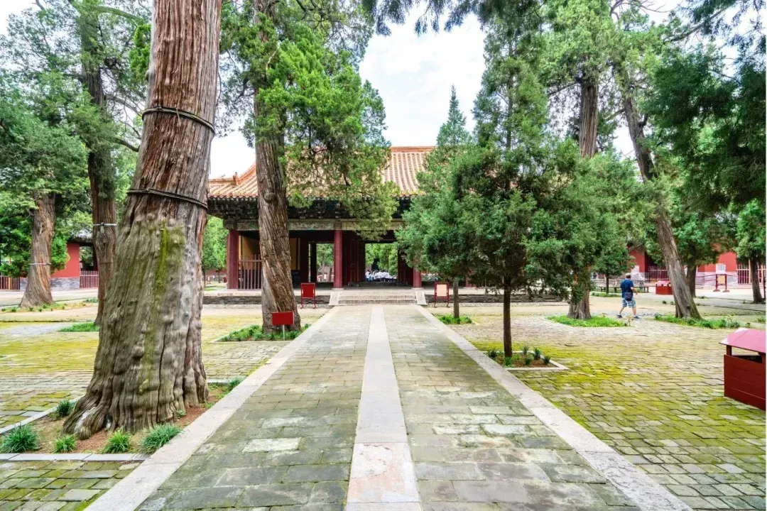 【研学建筑】梁思成考察中国古建筑的历程