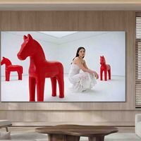 TCL Q10M：冬奥观赛新体验！！