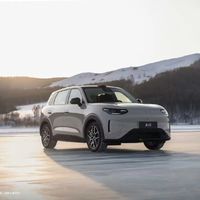 新造车2月销量集体下跌：马年“金融战”再升温